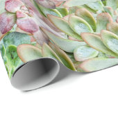 多肉カラフルの ラッピングペーパー (ロールコーナー)