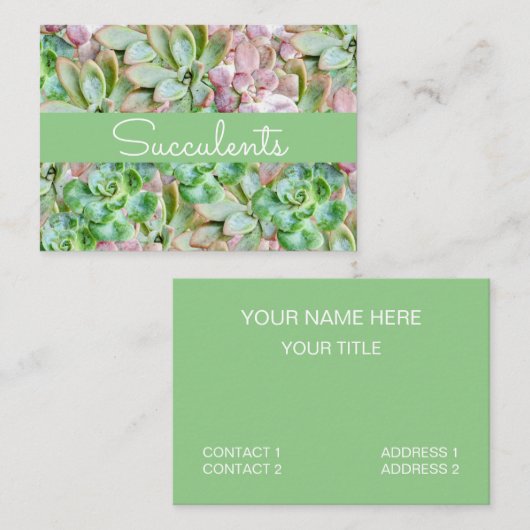 多肉カラフルの 名刺 (正面/裏面)