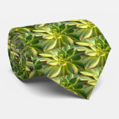 多肉カラフルタイ#2 ネクタイ (ロール)