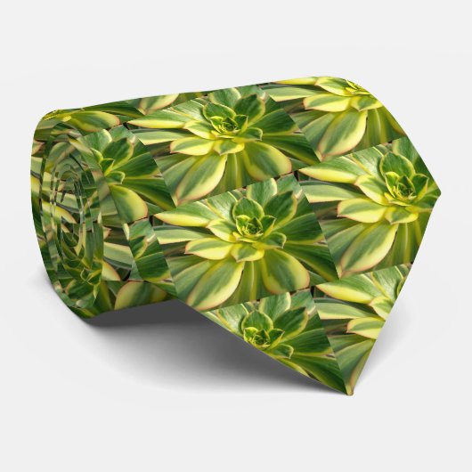 多肉カラフルタイ#2 ネクタイ (ロール)