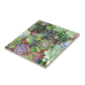 多肉カラフル園 タイル (側面)