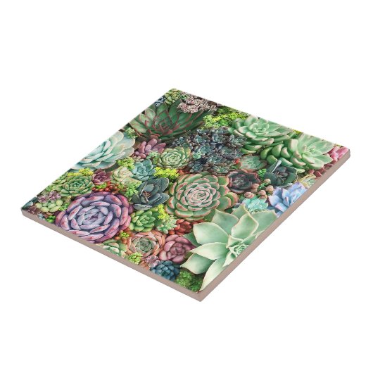 多肉カラフル園 タイル (側面)