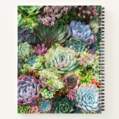多肉カラフル園 ノートブック (裏面)