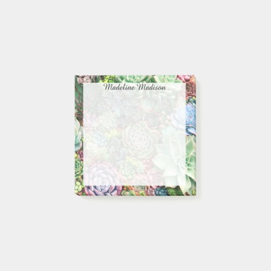 多肉カラフル園 ポストイット (正面)