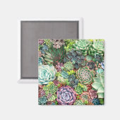 多肉カラフル園 マグネット (正面/裏面)