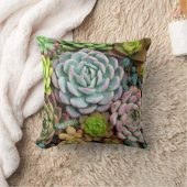 多肉カラフル装飾用クッション クッション (ブランケット)