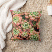 多肉カラフル装飾用クッション クッション (ブランケット)