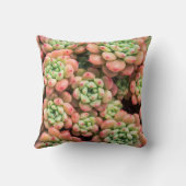 多肉カラフル装飾用クッション クッション (裏面)