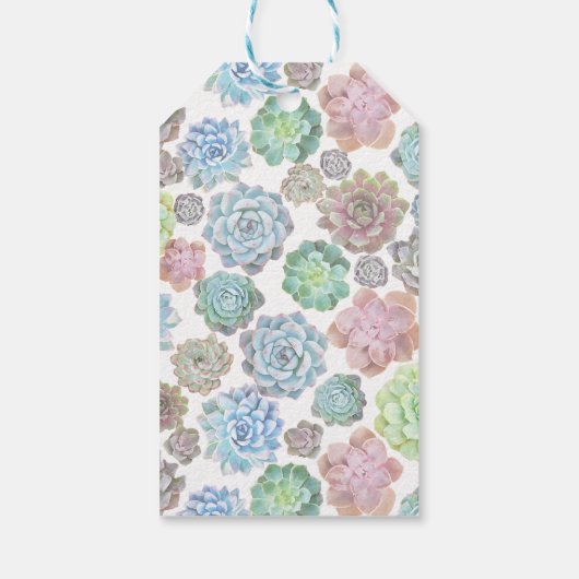 多肉ギフトラベル ギフトタグ (裏面)