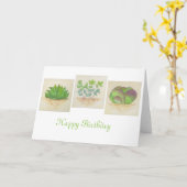 多肉三王誕生日カード カード (黄色い花)