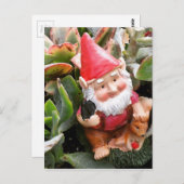 多肉中に隠れている格言 ポストカード (正面/裏面)