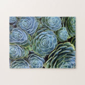 多肉写真多肉乳汁株 ジグソーパズル (横)