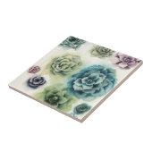 多肉団 タイル (側面)