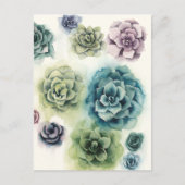 多肉団 ポストカード (正面)