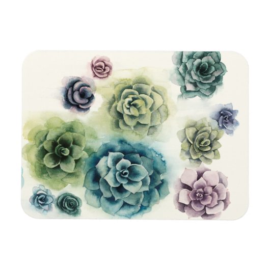 多肉団 マグネット (横)