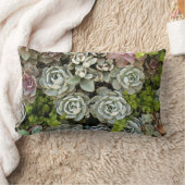 多肉園1 ランバークッション (ブランケット)