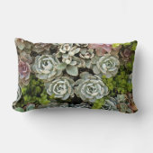 多肉園1 ランバークッション (正面)