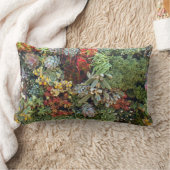 多肉園2 ランバークッション (ブランケット)