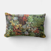 多肉園2 ランバークッション (正面)