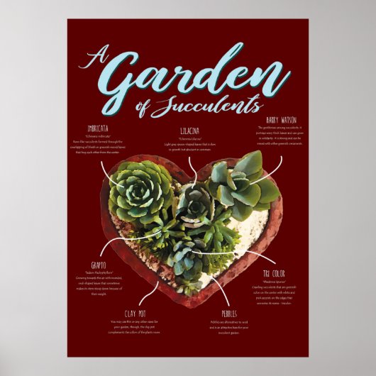 多肉園 ポスター (正面)