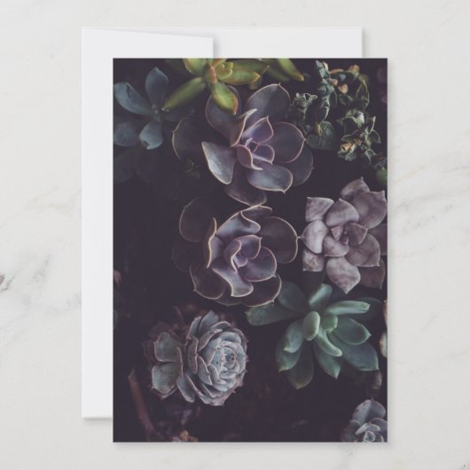 多肉型 招待状 (裏面)