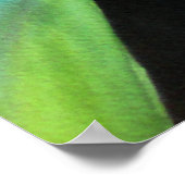 多肉性の水絵画彩植物芸術 ポスター (角)