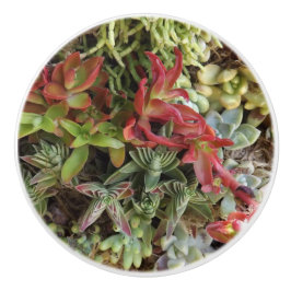 多肉性カスタムセラミックスノブ セラミックノブ