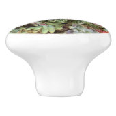 多肉性カスタムセラミックスノブ セラミックノブ (側面)