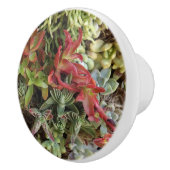 多肉性カスタムセラミックスノブ セラミックノブ (右)