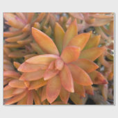 多肉性ギフトラッピング紙 ラッピングペーパー (フラット)