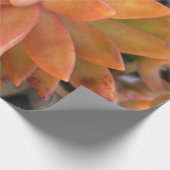 多肉性ギフトラッピング紙 ラッピングペーパー (角)