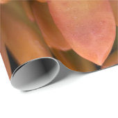 多肉性ギフトラッピング紙 ラッピングペーパー (ロールコーナー)