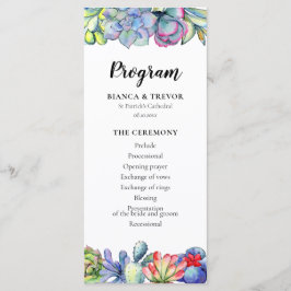 多肉性サボテンの水色 プログラム