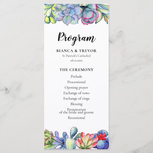 多肉性サボテンの水色 プログラム (正面)