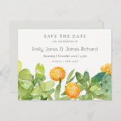 多肉性サボテンフローラ水色保存日 案内ポストカード (正面/裏面)