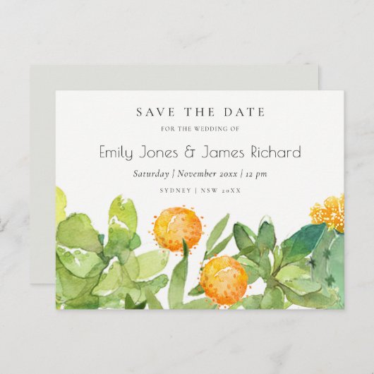 多肉性サボテンフローラ水色保存日 案内ポストカード (正面/裏面)