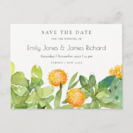 多肉性サボテンフローラ水色保存日 案内ポストカード