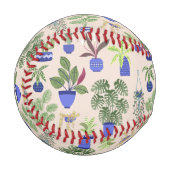 多肉性サボテン 野球ボール (正面左)