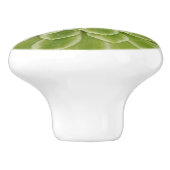 多肉性セラミックプル セラミックノブ (側面)