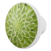 多肉性セラミックプル セラミックノブ (右)