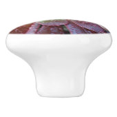 多肉性セラミックプル セラミックノブ (側面)