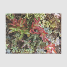 多肉性ティッシュペーパー 薄葉紙