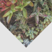 多肉性ティッシュペーパー 薄葉紙 (詳細)