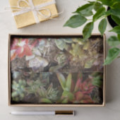 多肉性ティッシュペーパー 薄葉紙 (ギフト)