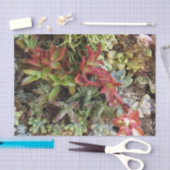 多肉性ティッシュペーパー 薄葉紙 (クラフト)