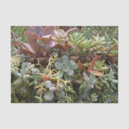 多肉性ティッシュペーパー 薄葉紙