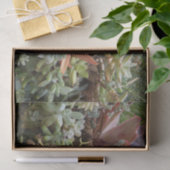 多肉性ティッシュペーパー 薄葉紙 (ギフト)