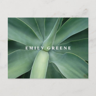 多肉性ノテカド ポストカード