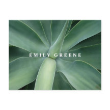 多肉性ノテカド