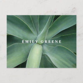 多肉性ノテカド ポストカード